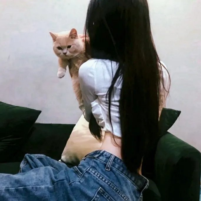 鲨颤